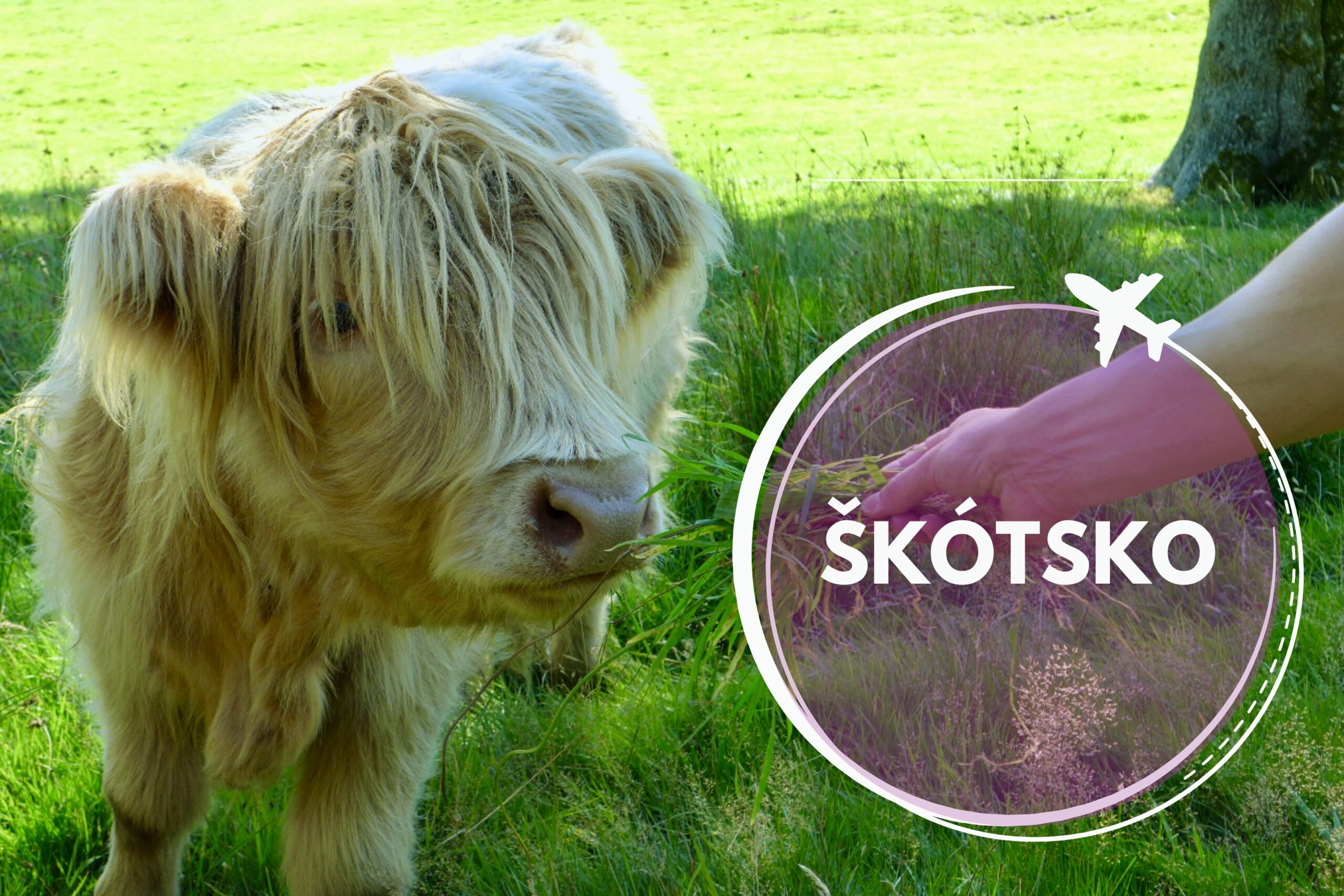 Na vandrovke Škótskom