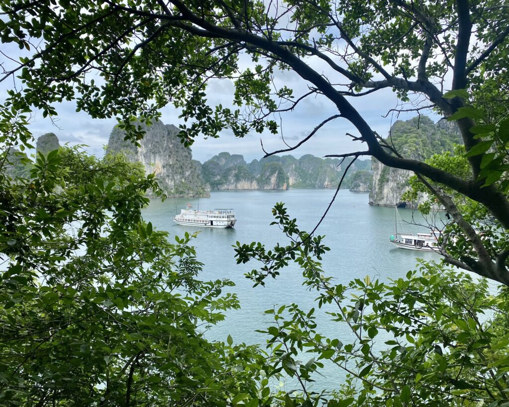 Bai Tu Long Bay