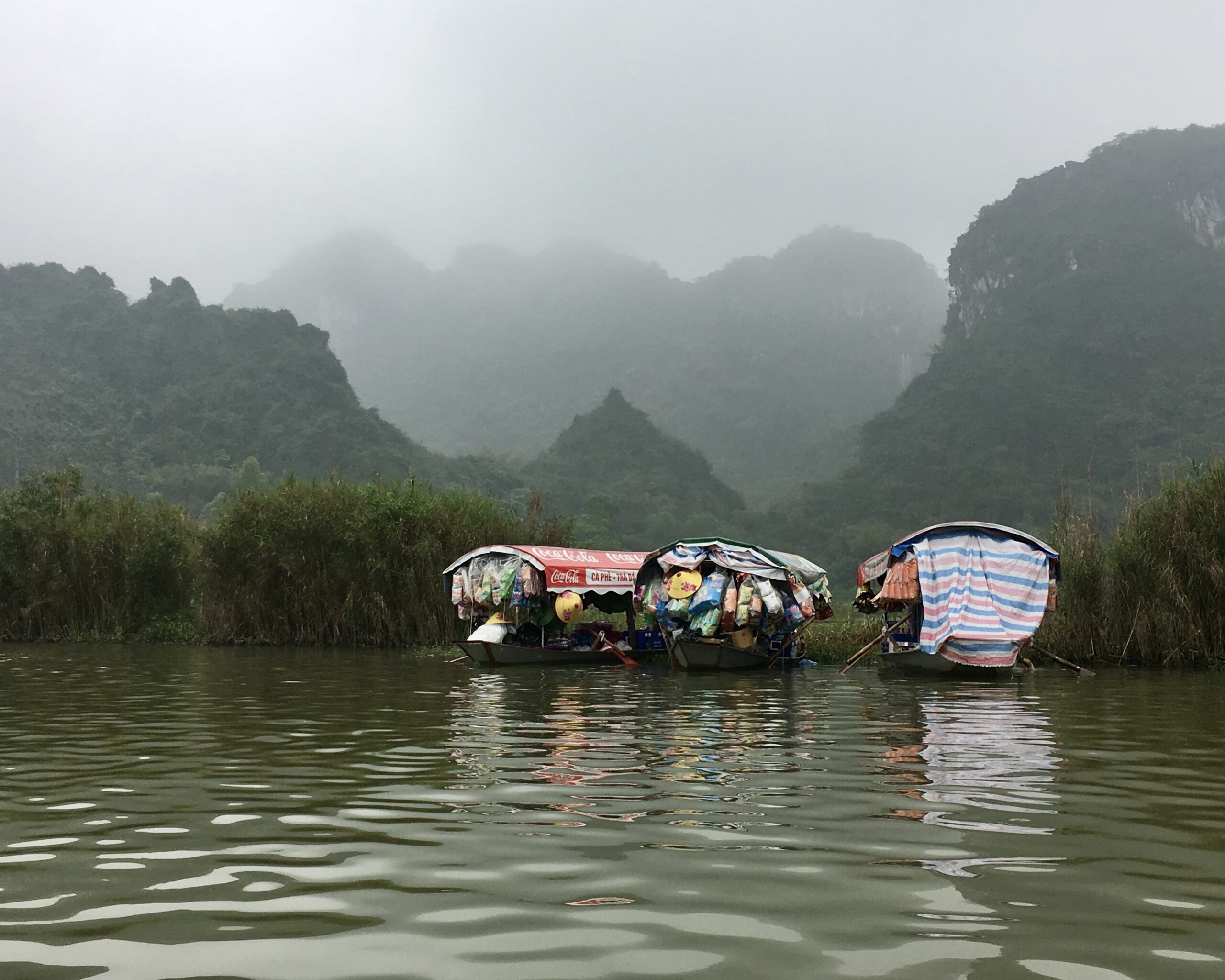 Príroda zahalená v hmle